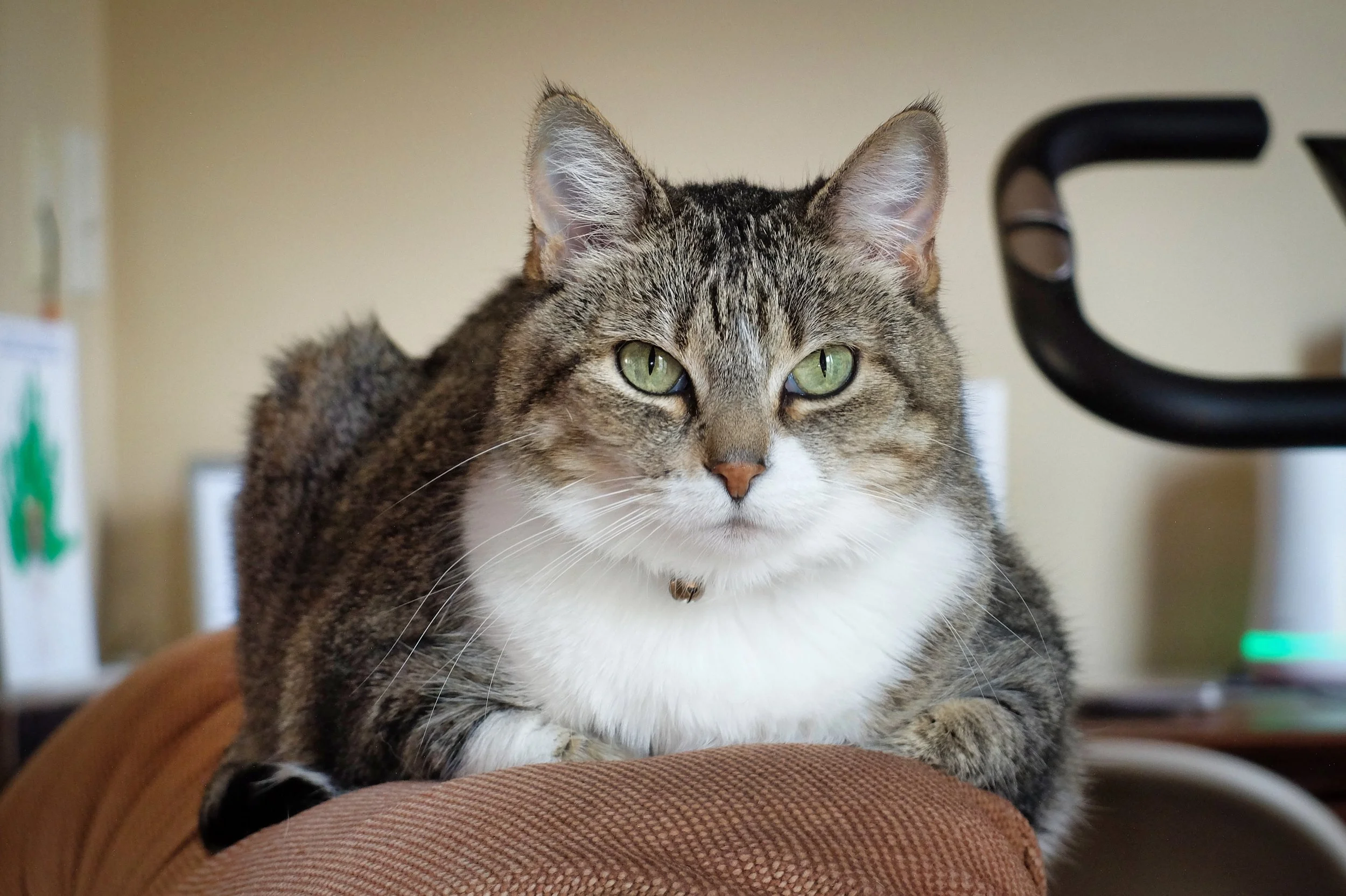 *** Last 90 days *** - 1 of 1 (2).jpeg