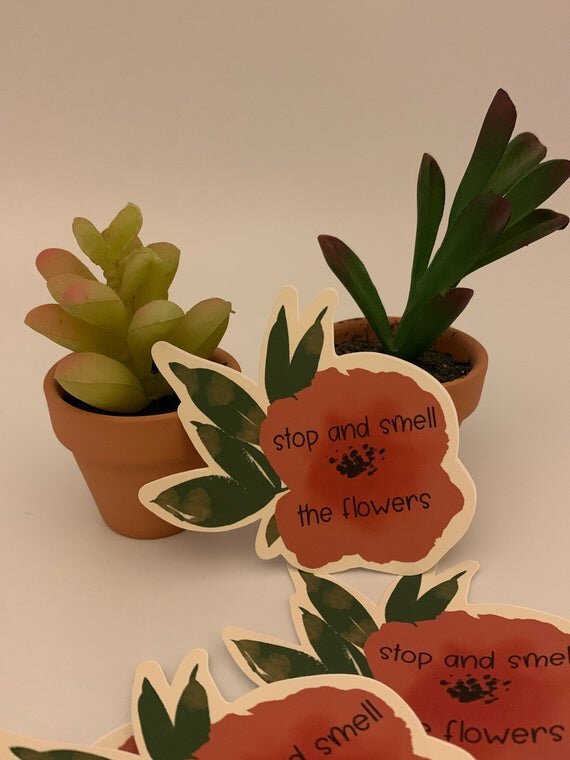 https://i.etsystatic.com/9940182/r/il/c0cb80/3053896947/il_570xN.3053896947_onkr.jpg
