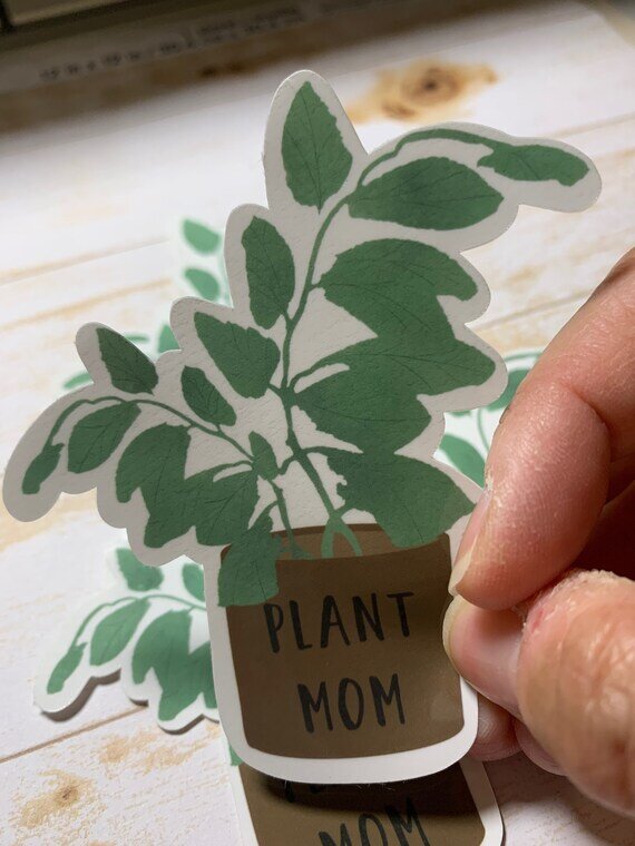 https://i.etsystatic.com/9940182/r/il/cf9622/3287509069/il_570xN.3287509069_ixlz.jpg