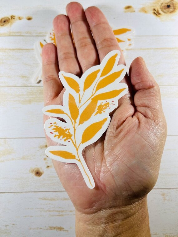 https://i.etsystatic.com/9940182/r/il/e237ad/3310158134/il_570xN.3310158134_o82y.jpg