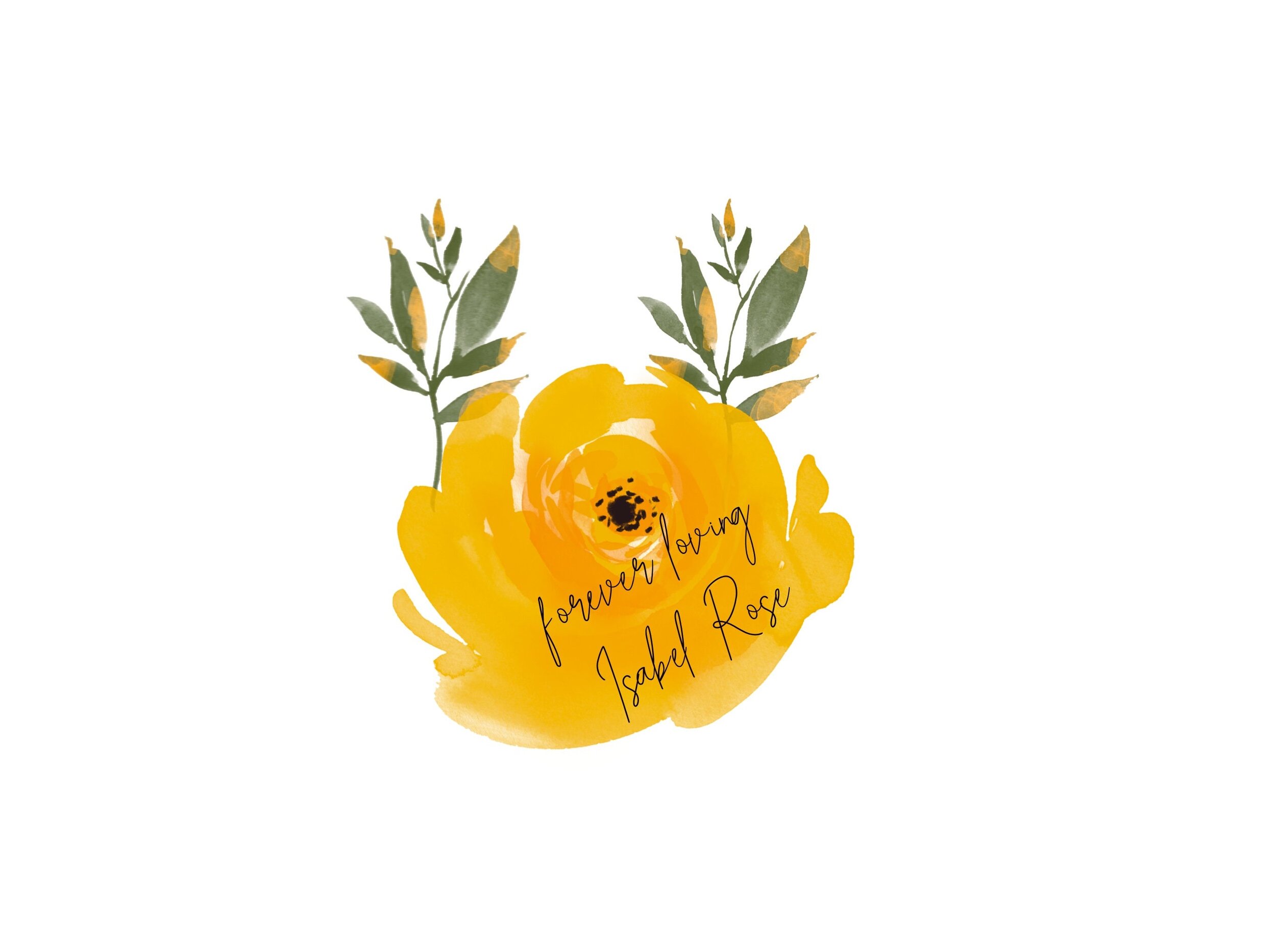 https://i.etsystatic.com/9940182/r/il/e78db3/3251296180/il_fullxfull.3251296180_a756.jpg