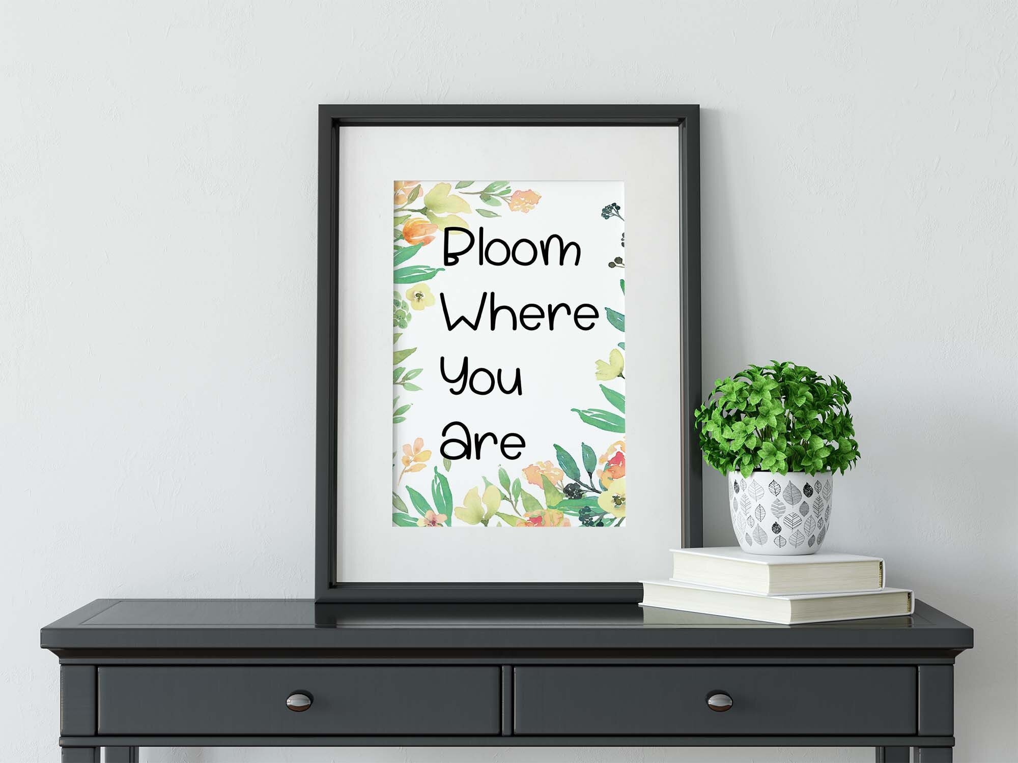 https://i.etsystatic.com/9940182/r/il/113d22/3363197320/il_fullxfull.3363197320_kjvp.jpg