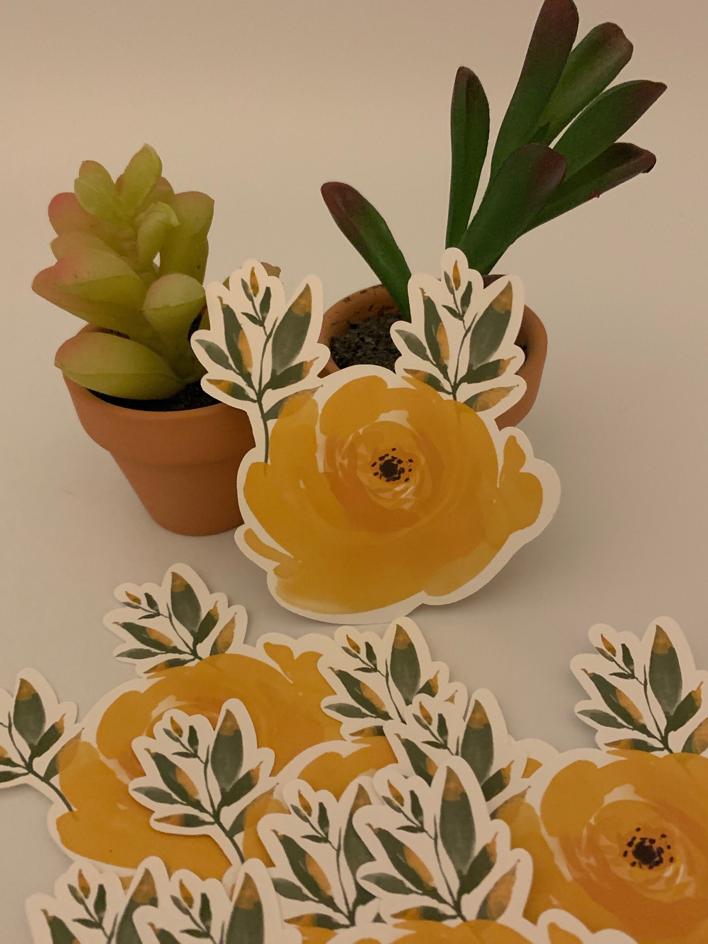 https://i.etsystatic.com/9940182/r/il/4e13d3/3053908365/il_fullxfull.3053908365_ry9n.jpg