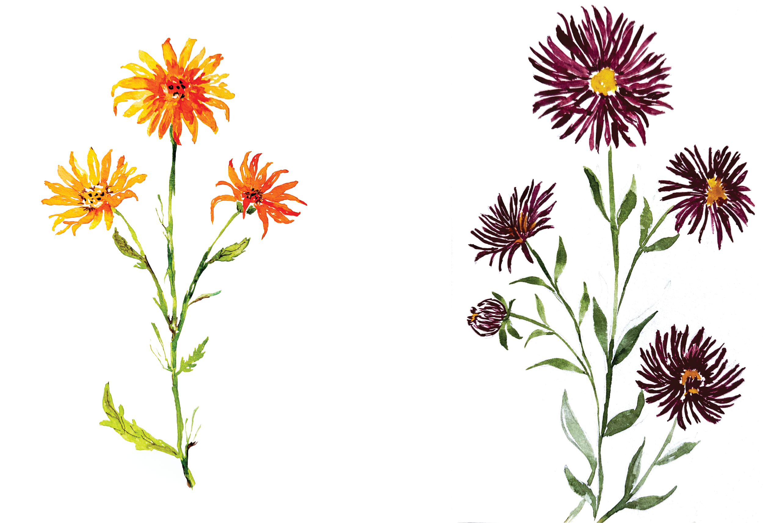 Card Mock-up Yellow and Purple Flowers.png