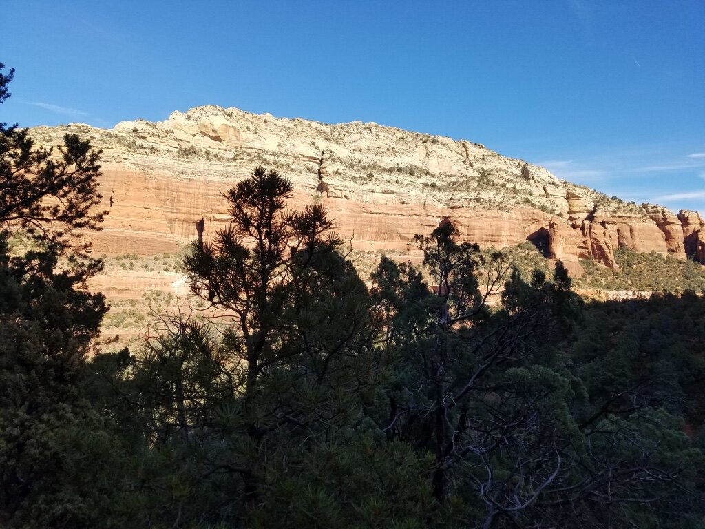 3E77539D-E3DA-4F09-9495-EEE8CC400297_1_105_c.jpeg