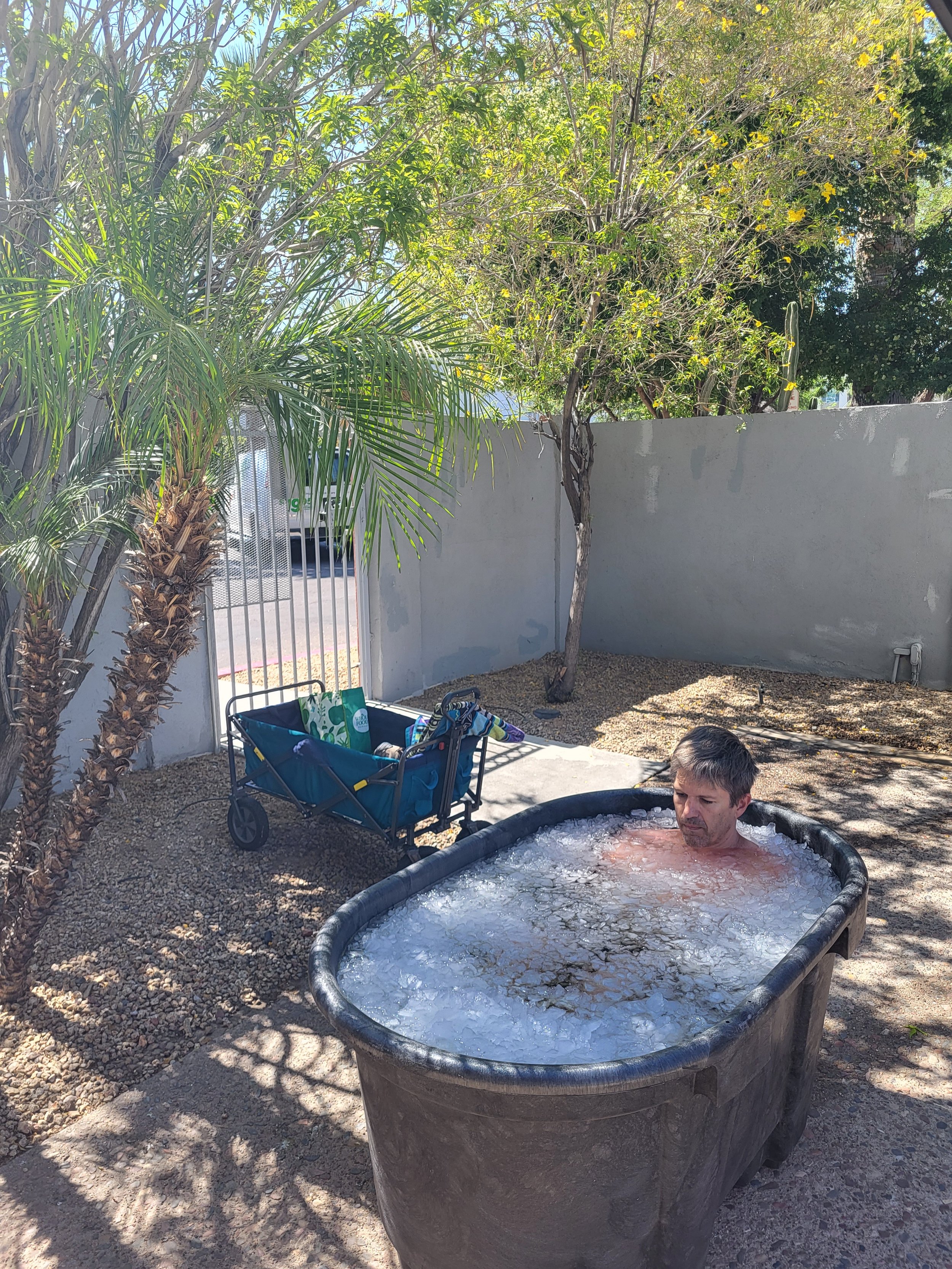 Sunday Ice Bath.jpg