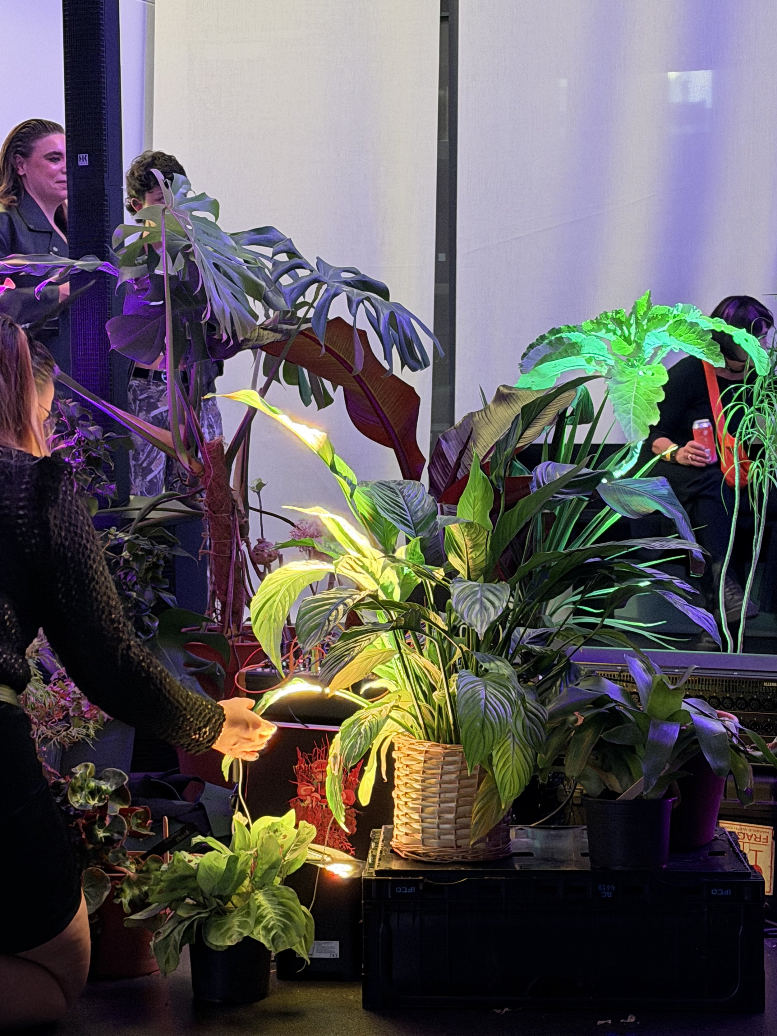 Garden Futures, V&A Dundee