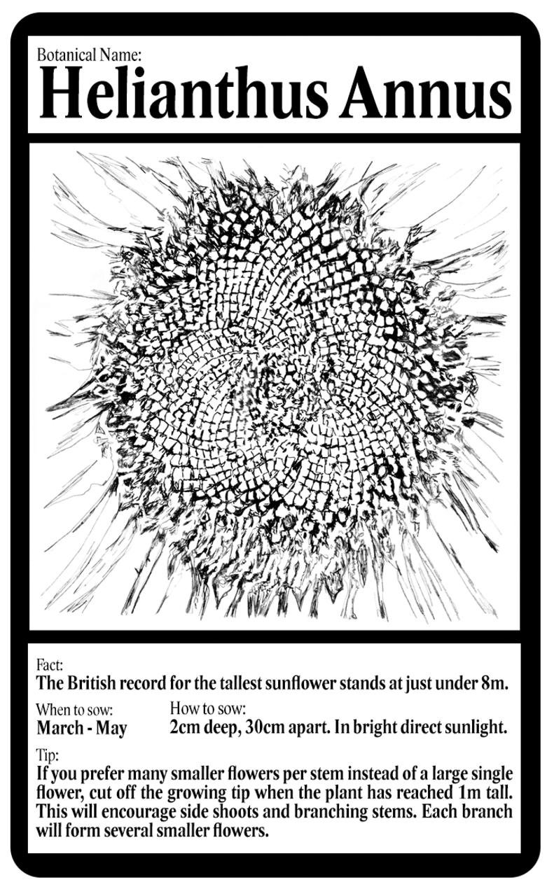 WhatsApp Image 2026-02-10 at 16.41.34.jpeg