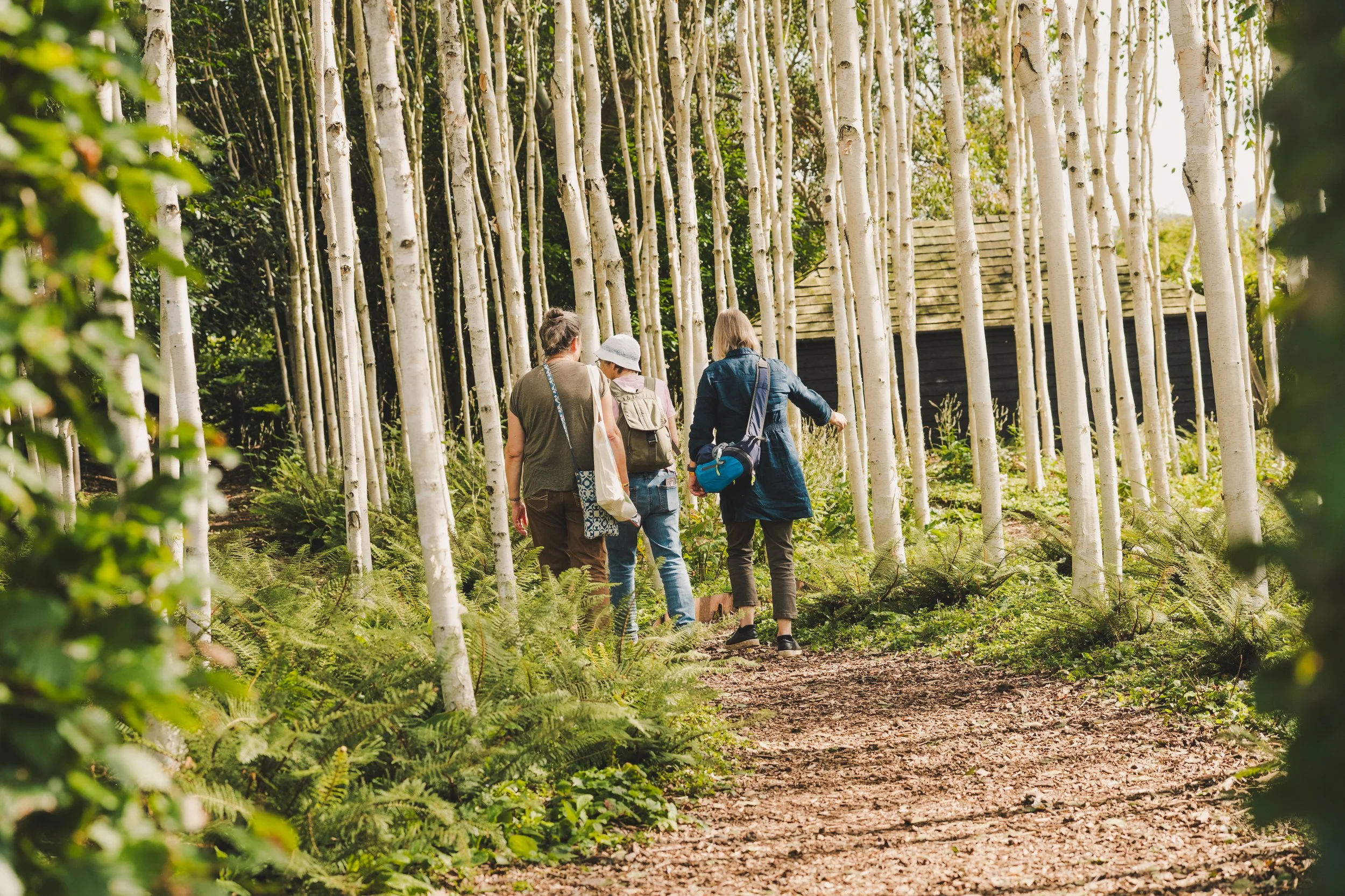 Yeo Valley Organic Garden Festival-7676.jpg