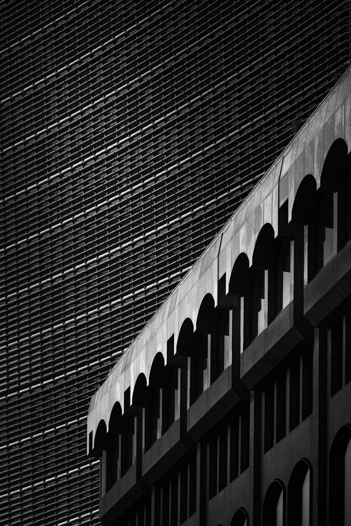 _DSC4019-1walkie talkie vers.jpg