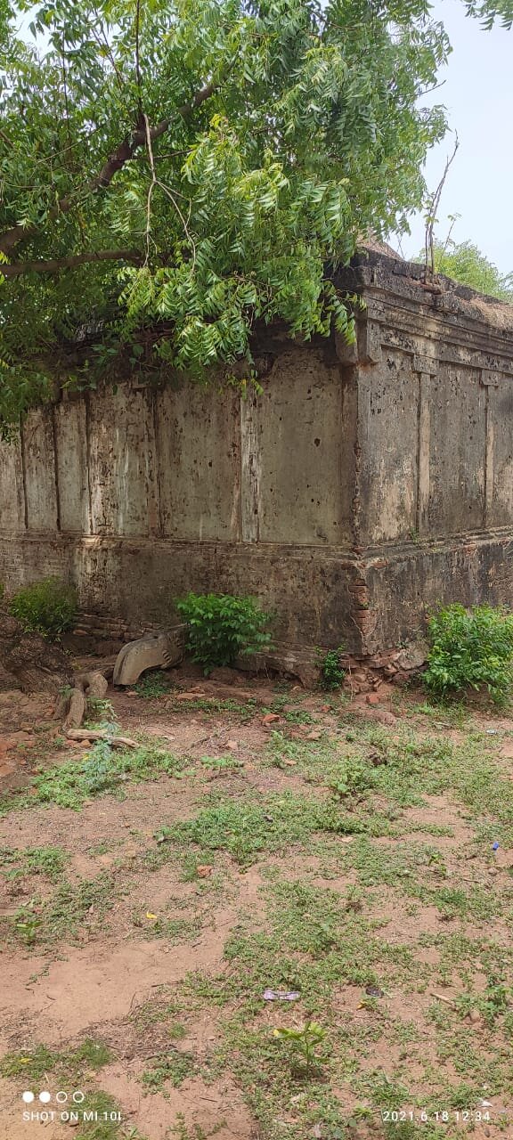 Back side view