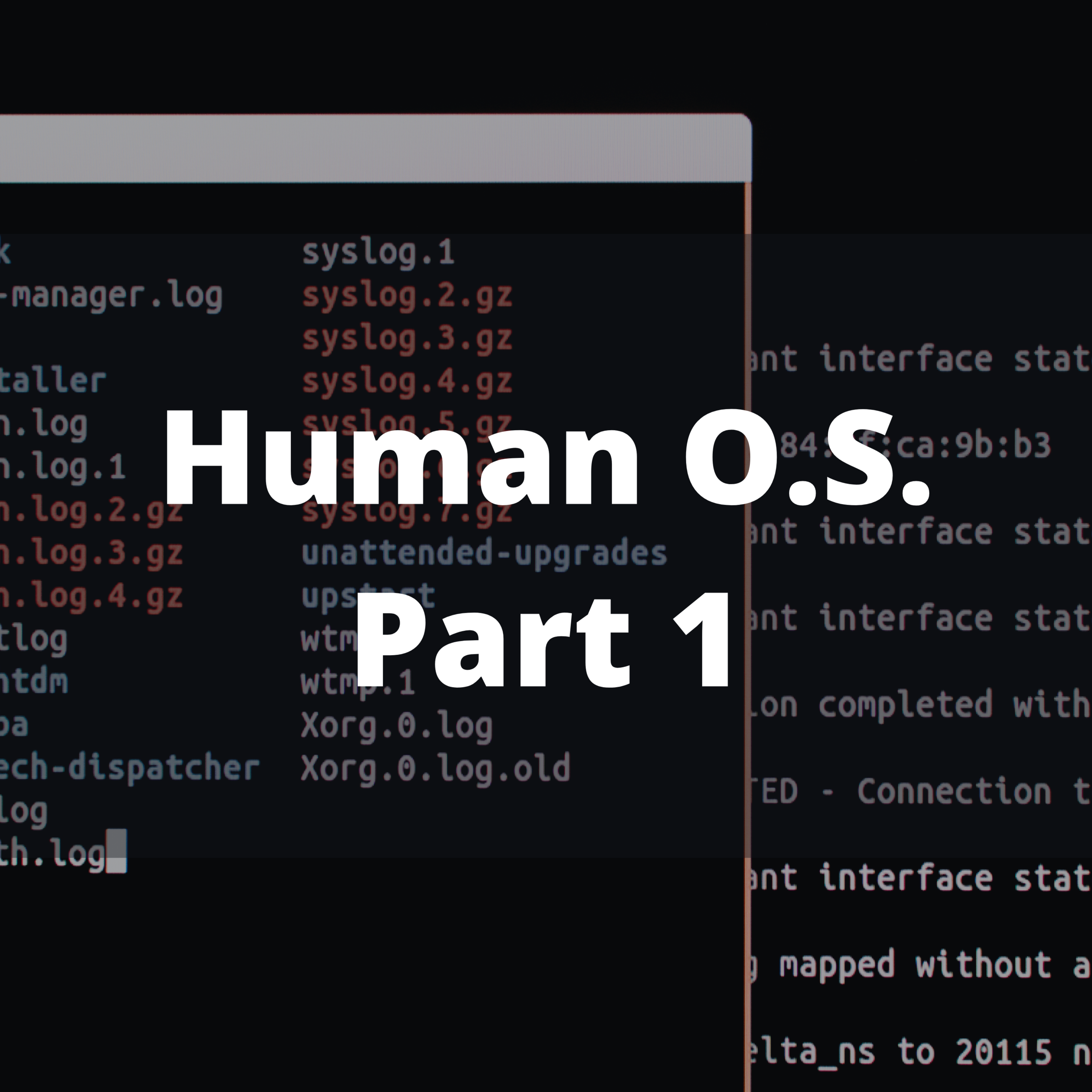 The Human OS: Part 1 Introduction to the Principles