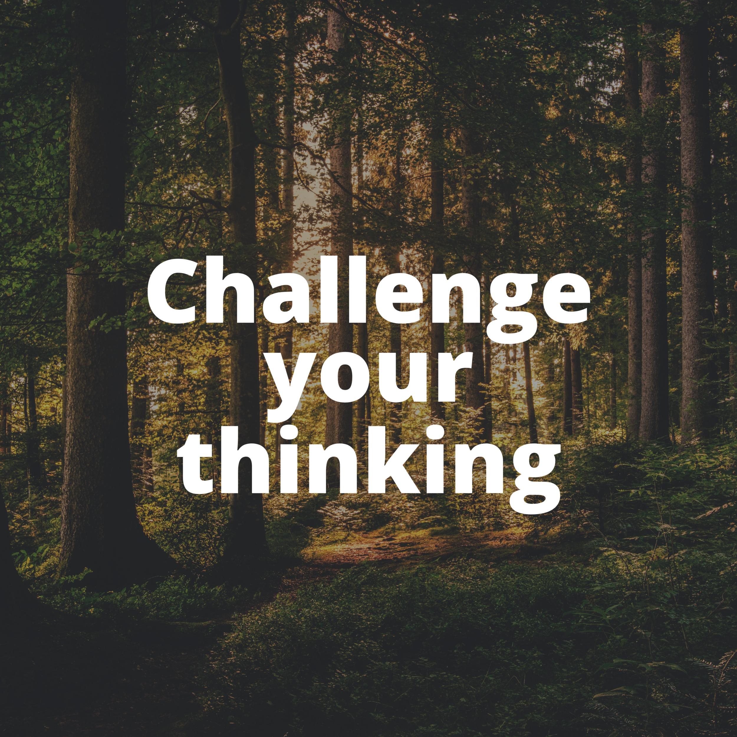 How to test your thinking: Intro to my favorite mental models