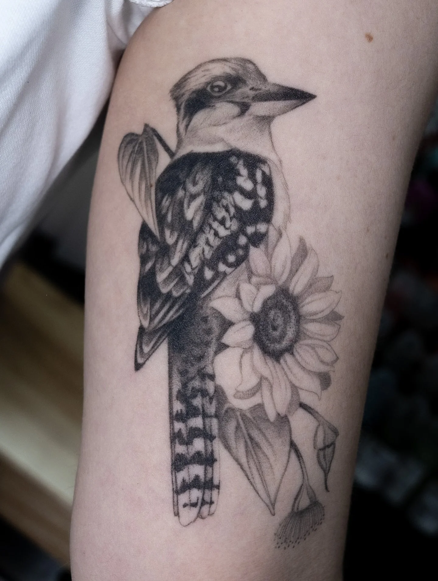 ⊹ healed ❤︎₊ ⊹