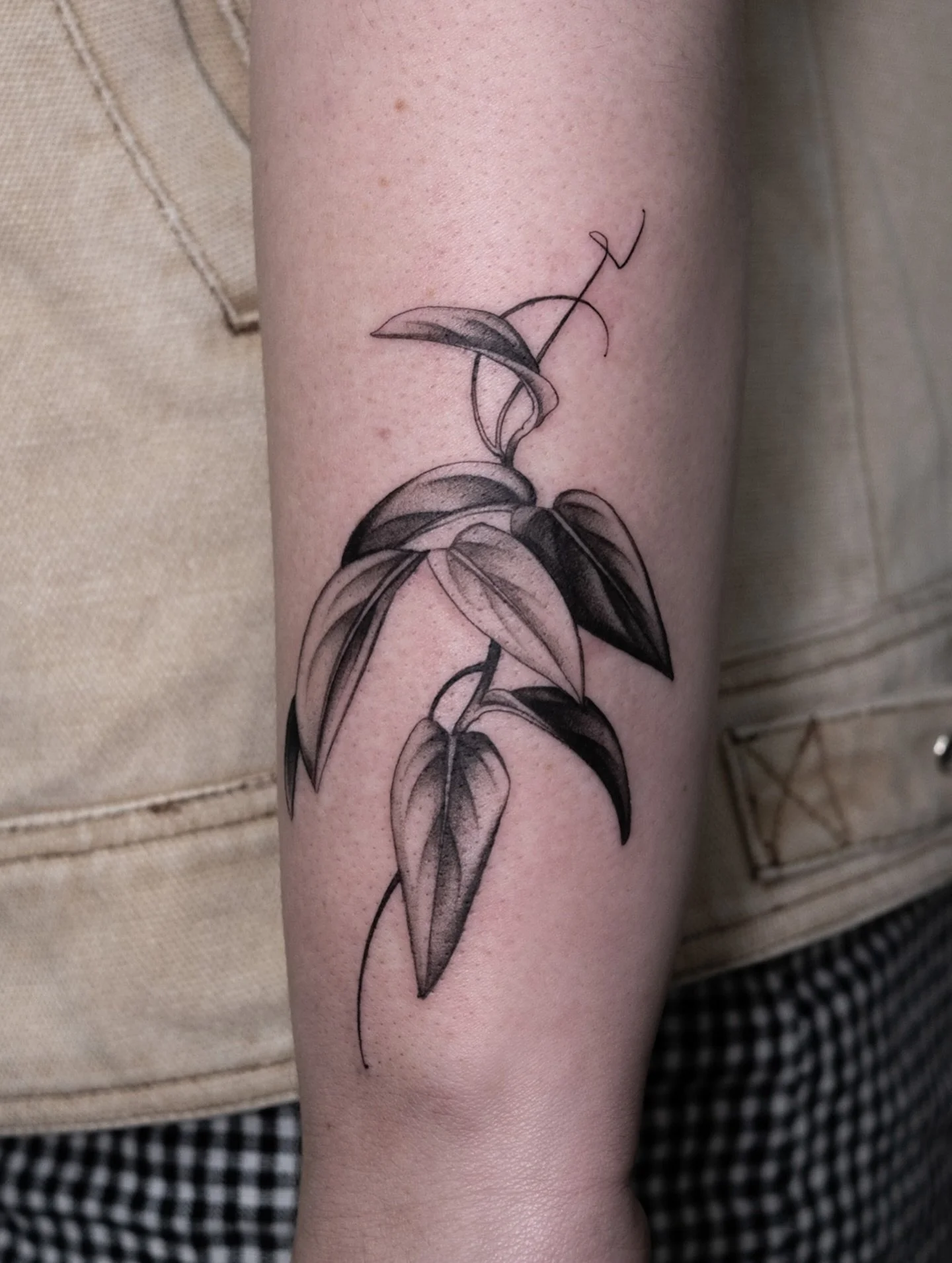 Ingrid&rsquo;s little leaves from a couple of months ago, the start of what&rsquo;s turning into a very flowy leafy arm, I can&rsquo;t wait to keep adding! 🖤 I love doing little tattoos like this