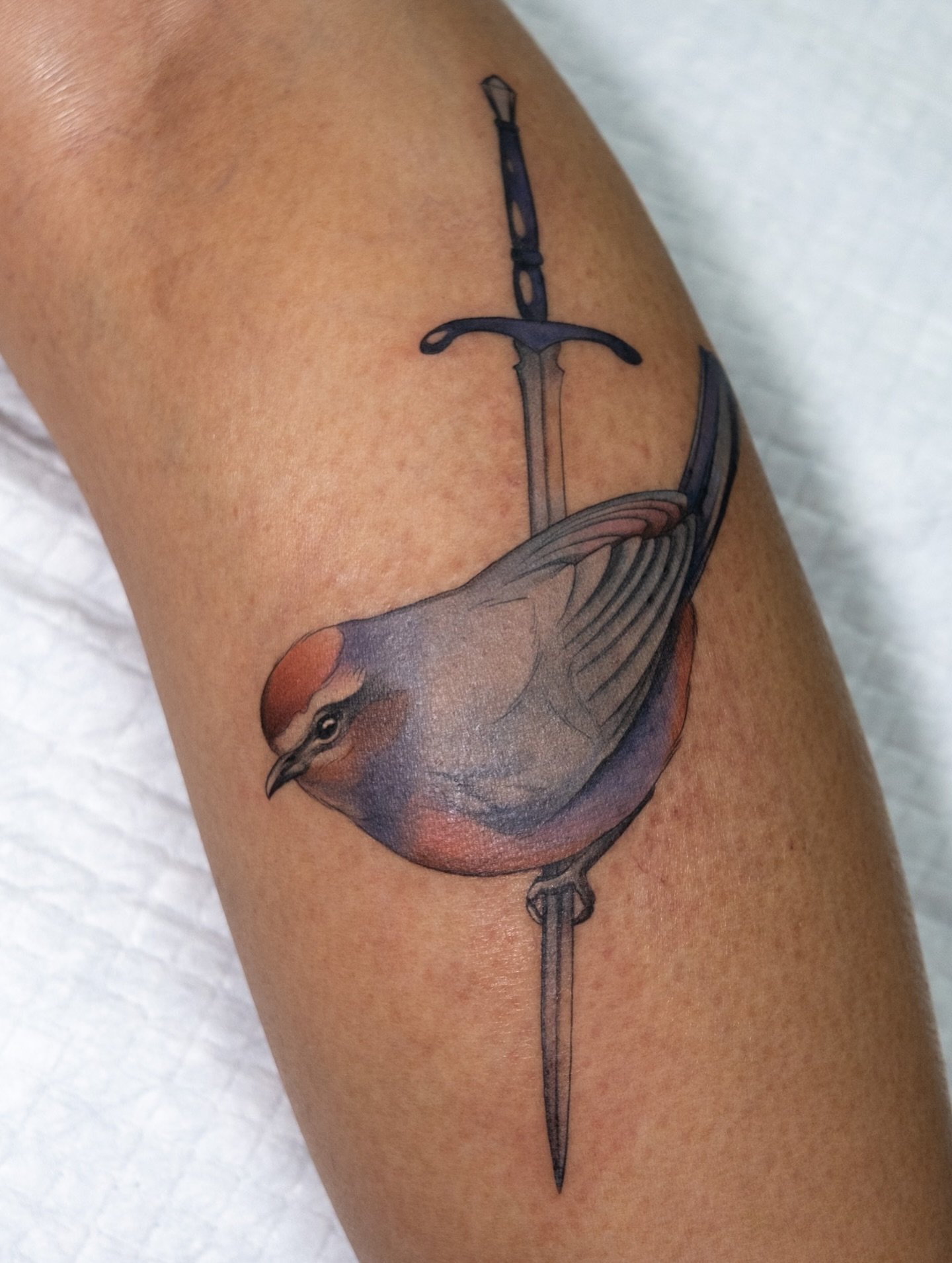 Krystle&rsquo;s white-browed tit-warbler from last month! What a cutie, I love tattooing birds. Swipe for some progress pics 🥰
