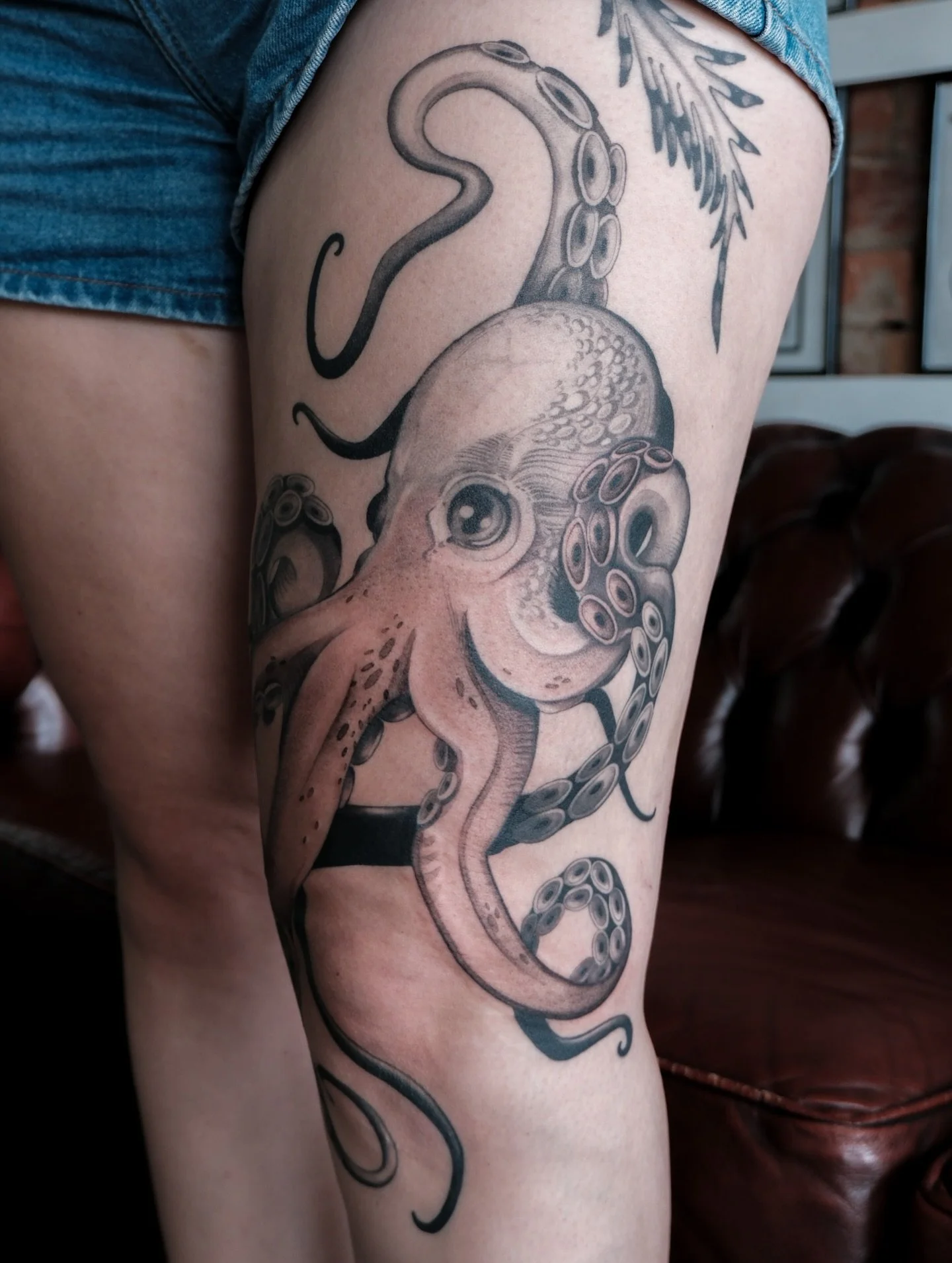 Hii just a reminder that I&rsquo;ll be closing my books tomorrow morning for Brisbane early &lsquo;26 if you&rsquo;d like to send in a last min booking form! (My next availability is currently around April/May) 🖤 

&amp; thank you SO much for trusti