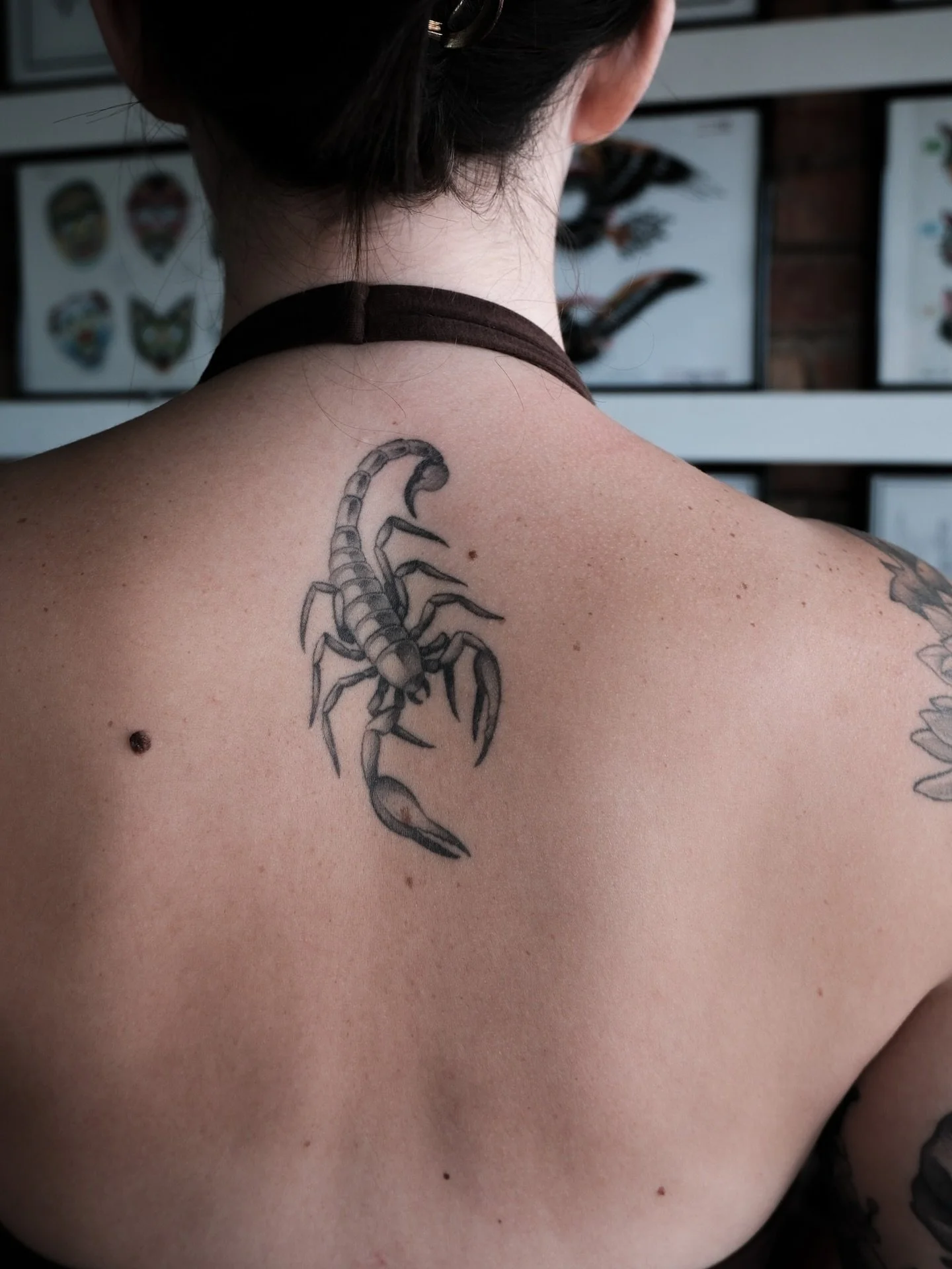 ✰ HEALED ✰ A few of the tattoos I&rsquo;ve done on Issy over the last 4-5-ish years (?!?!!?!) I feel so damn lucky and grateful for the beautiful people who keep coming back, I hold your trust so close to my heart THANK YOUU 🖤🖤🖤🖤🖤