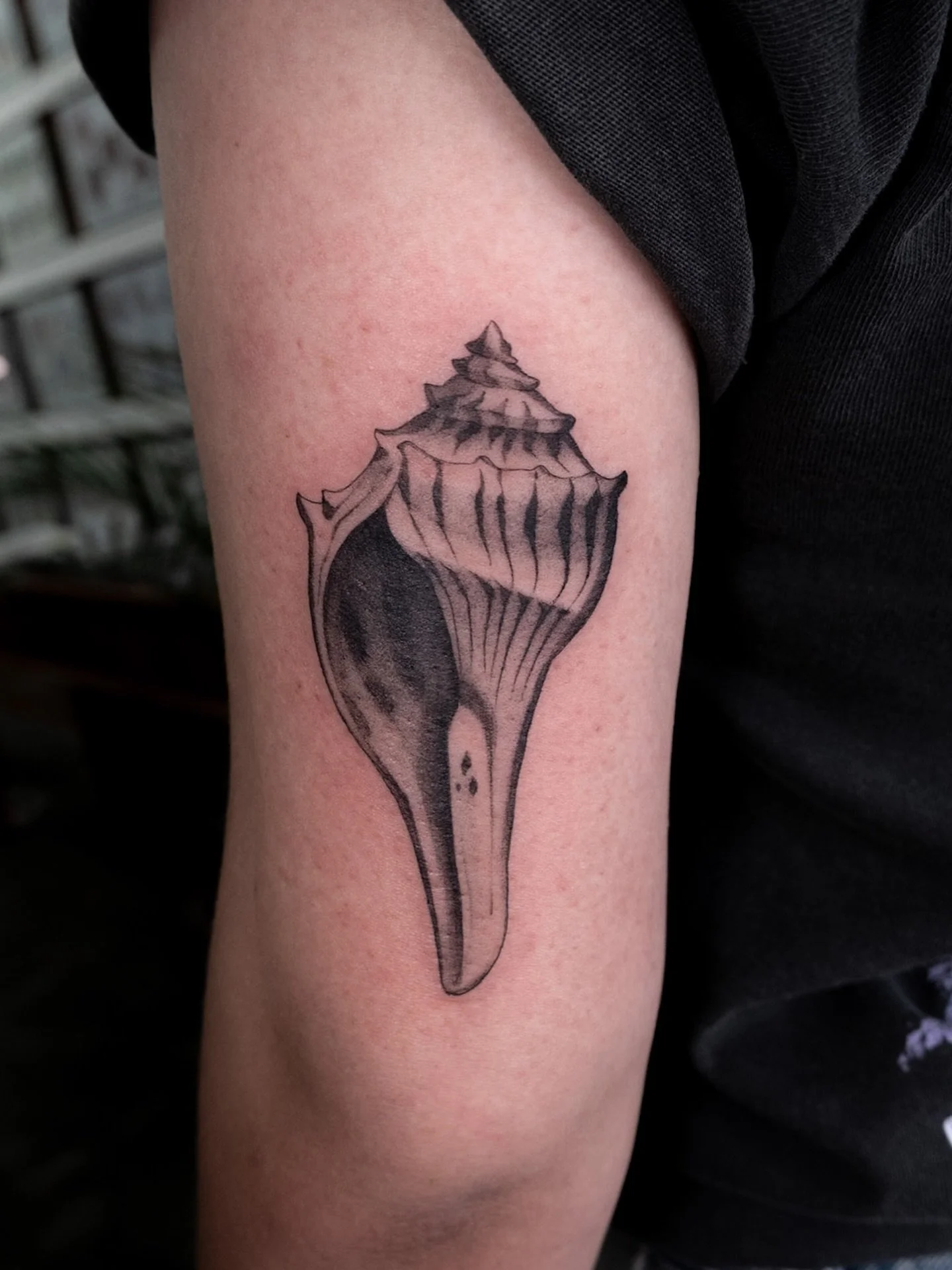 I love love love love love tattooing shells! From my flash for Josie - the day we accidentally wore matching band shirts haha! 🖤🌟