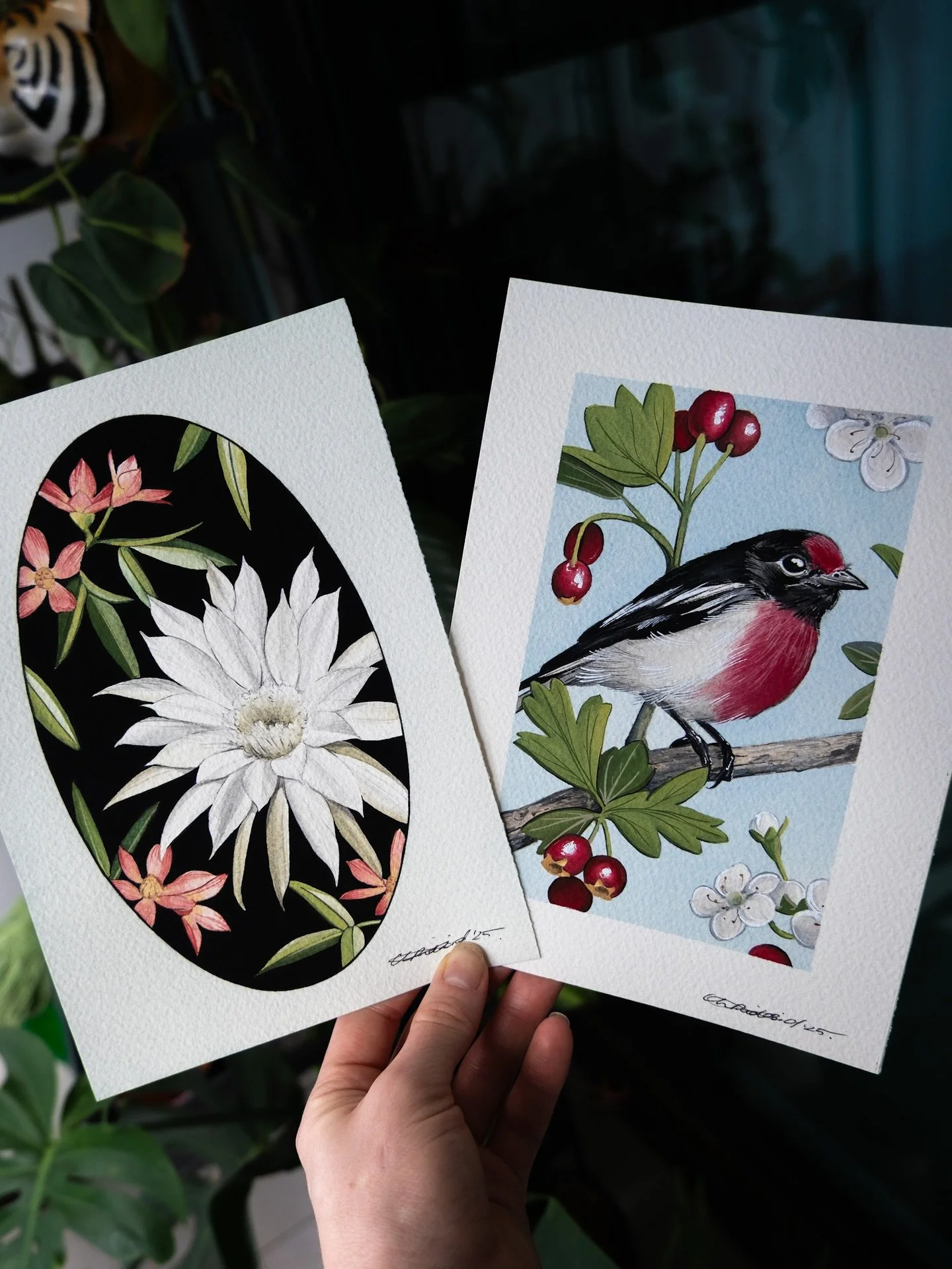 A couple of original paintings/cards I made for Christmas ✧ I always plan on doing a print run of hand painted Christmas cards/tags every year but run out of time, every year! 😅 Maybe 2026 is the one