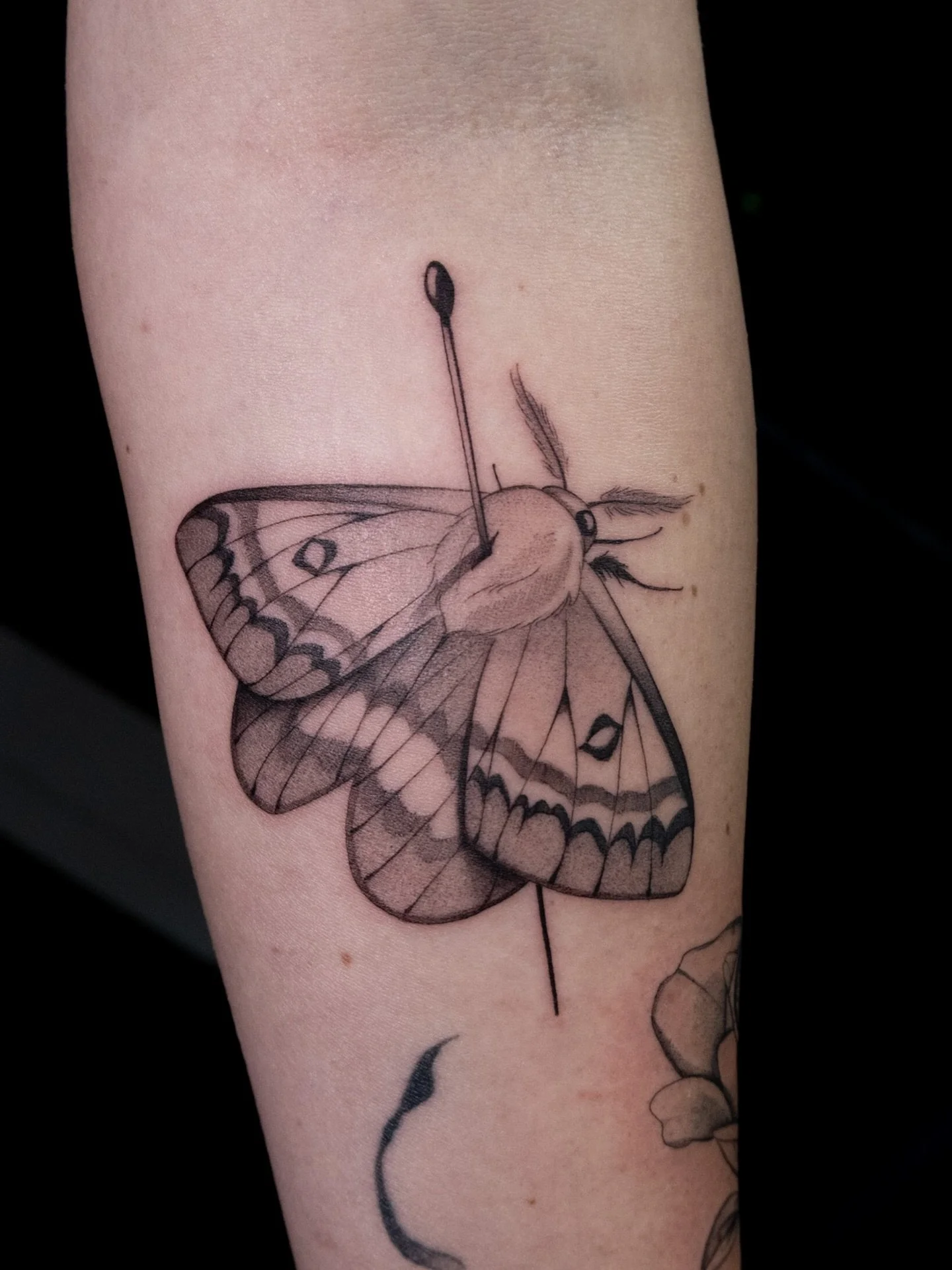 1/2 for Emily last week during our trip up to Rockhampton! I&rsquo;ll be contacting everyone on my Rocky waitlist soon about my next visit, but in the meantime we&rsquo;re back to Brisbane this week ₊˚⊹♡