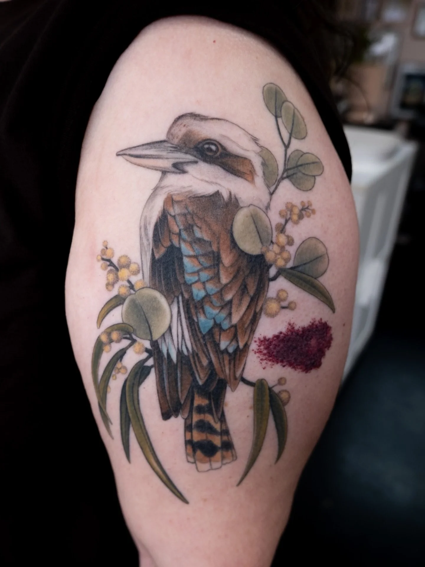 ✧˖&deg; healed kookie