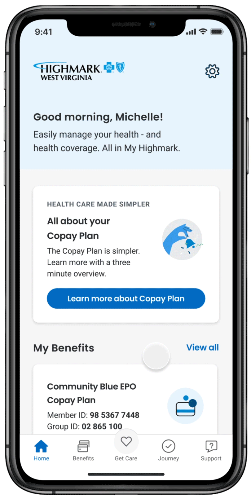 User flow for the copay plan experience.
