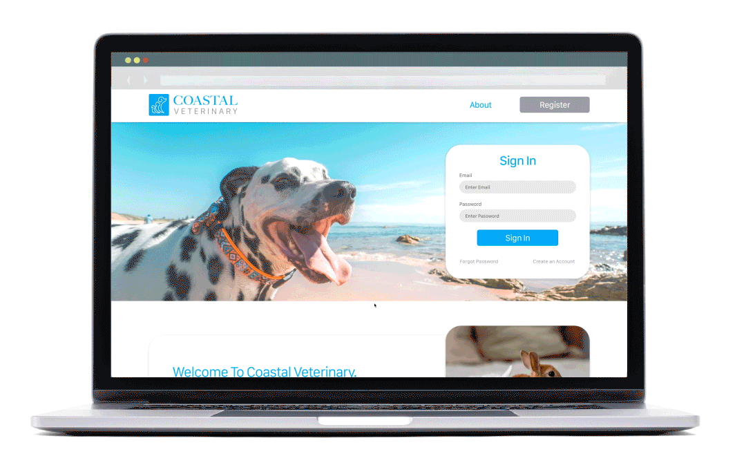 Coastal Veterinary Website Walkthrough