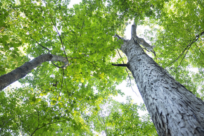 Screenshot 2025-11-20 at 9.54.36 AM.png