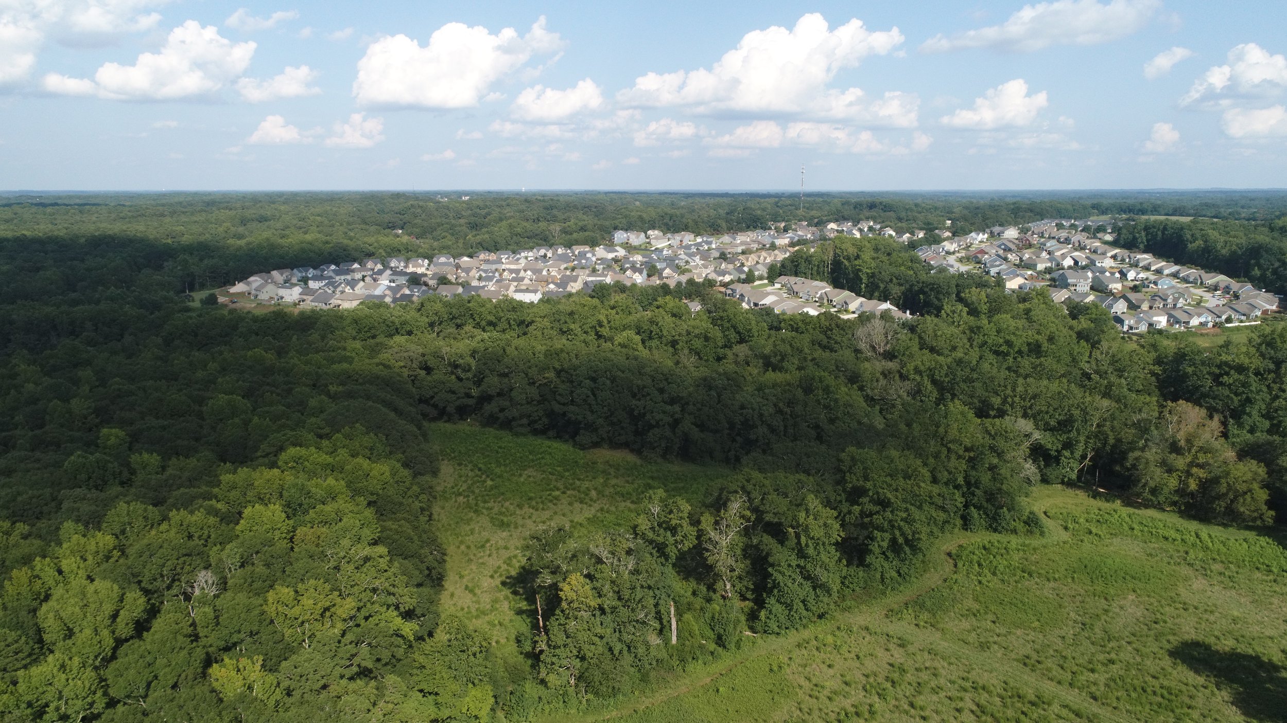 Conservation Easements: Saving Working Lands