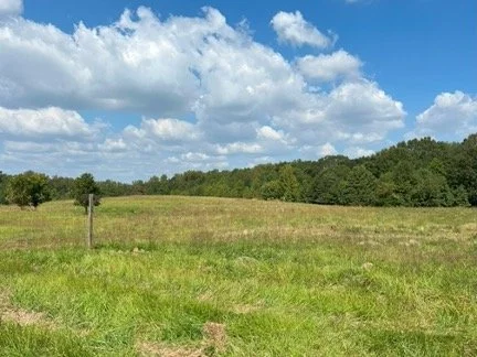 Saving Five Forks: Land &amp; History Protected