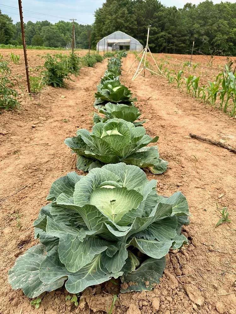 Conservation Easements: Protecting Farms with Minority Owners