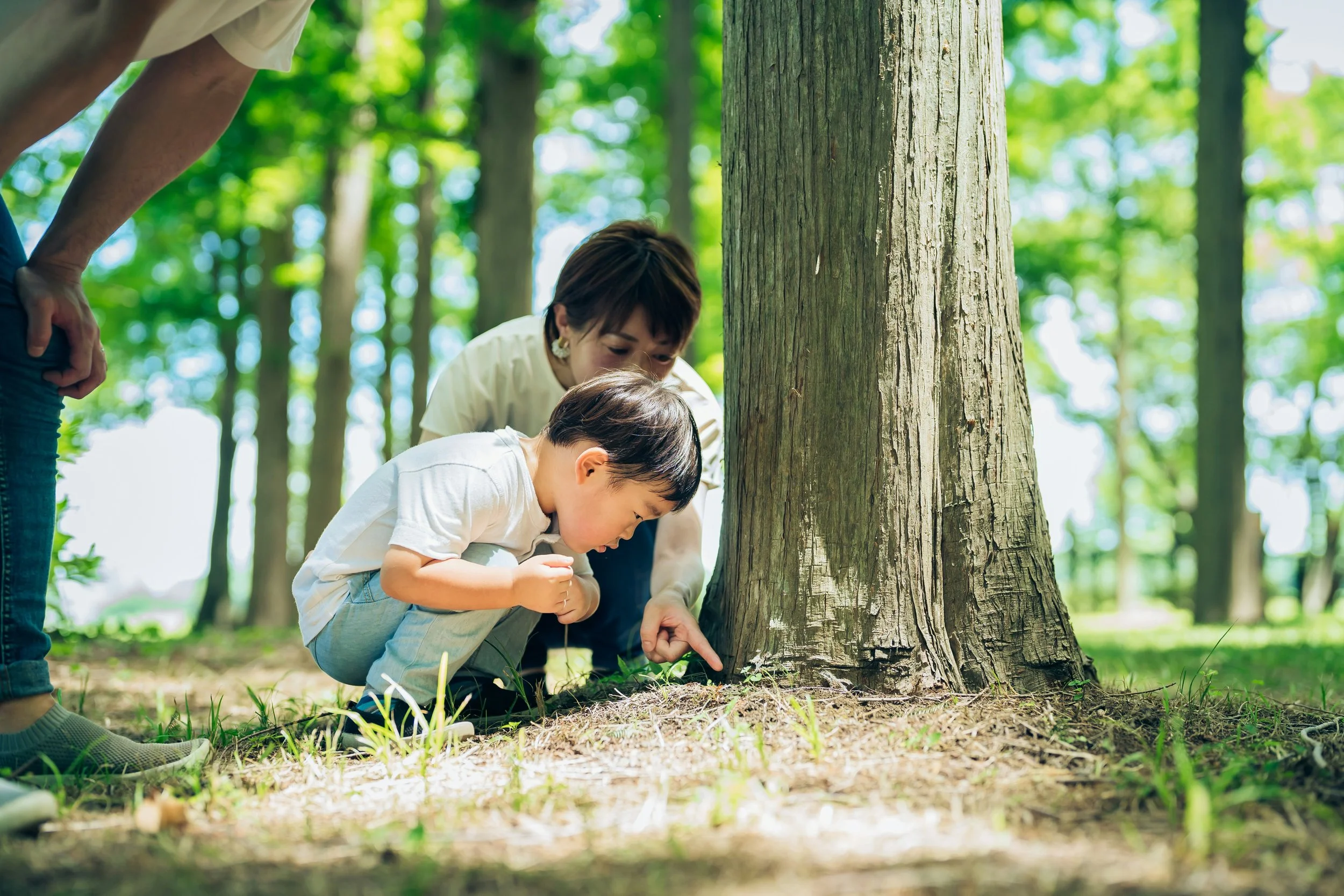 How Greenville Is Rethinking Early Learning –&nbsp;With Nature