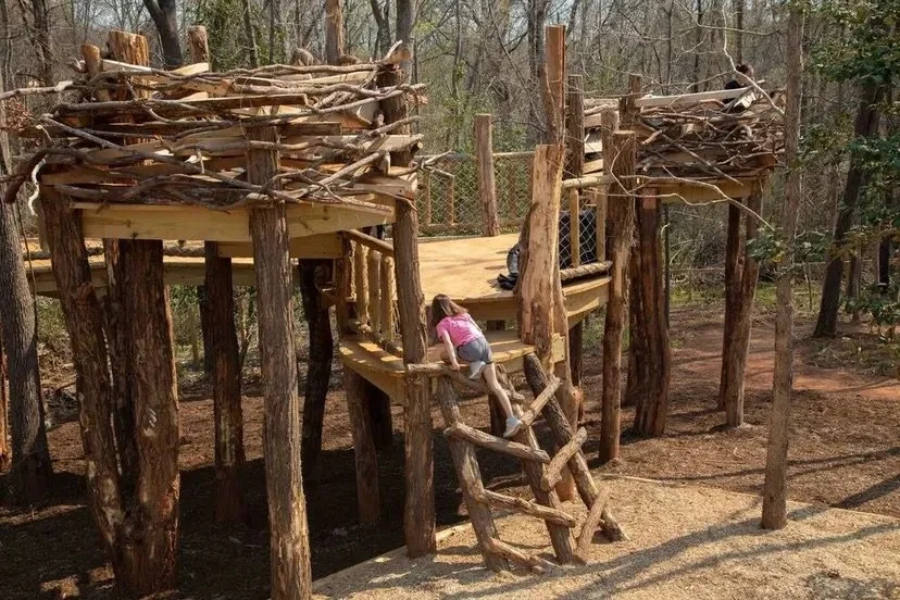 Why Parks Make Us Happier