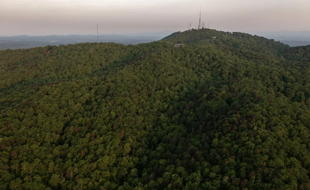 How Paris Mountain grew 20%