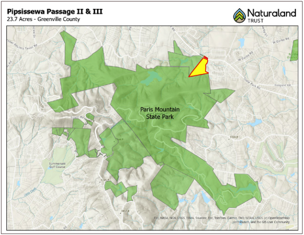 Screenshot 2025-11-20 at 9.53.57 AM.png