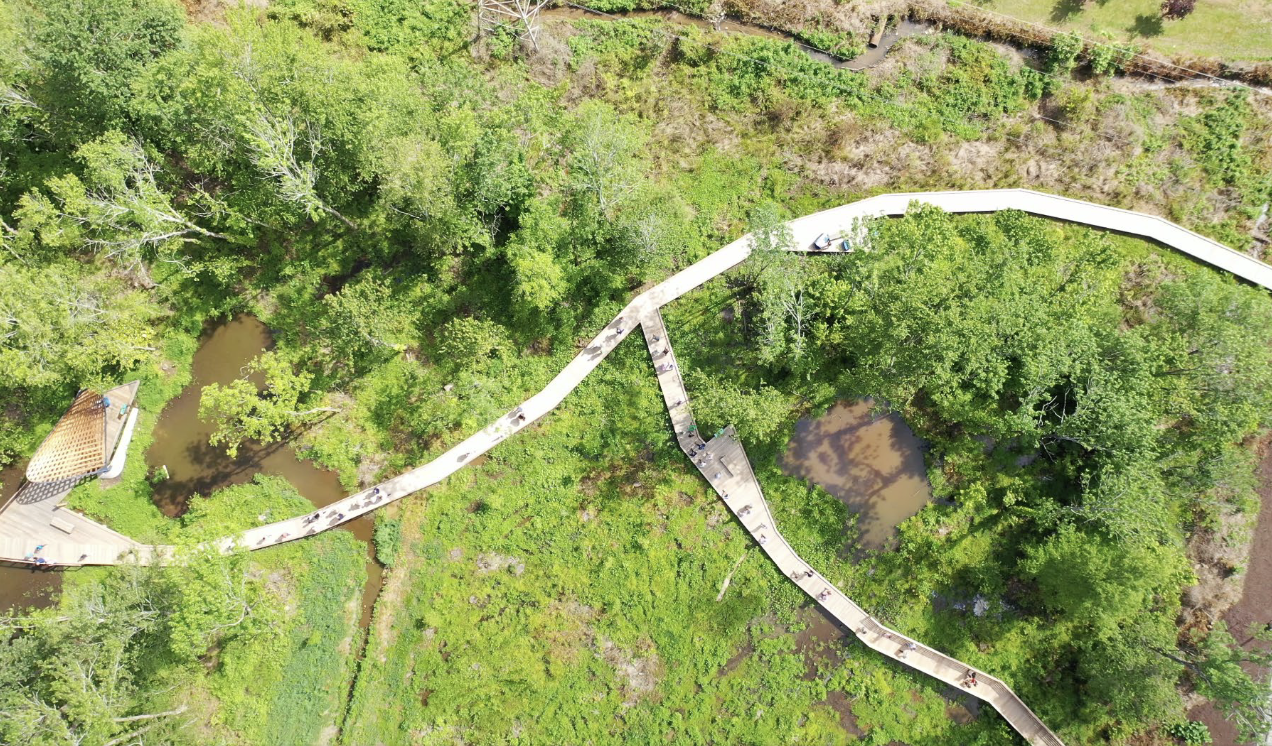 Screenshot 2025-11-25 at 9.58.16 AM.png