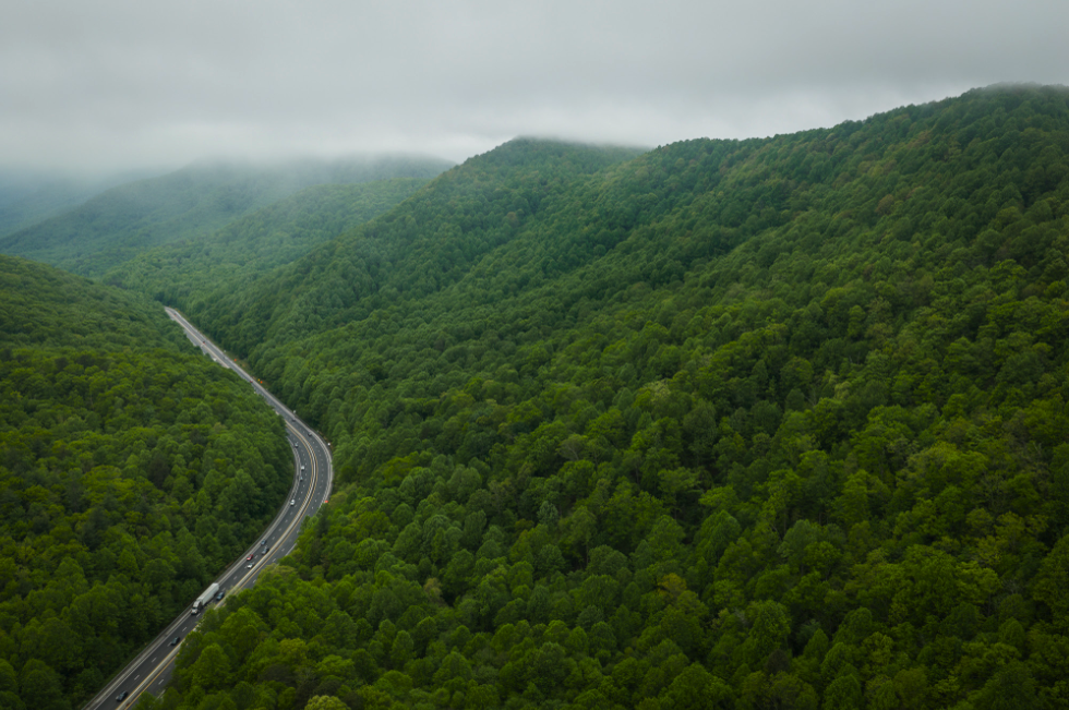 Mtn Bridge 3.png