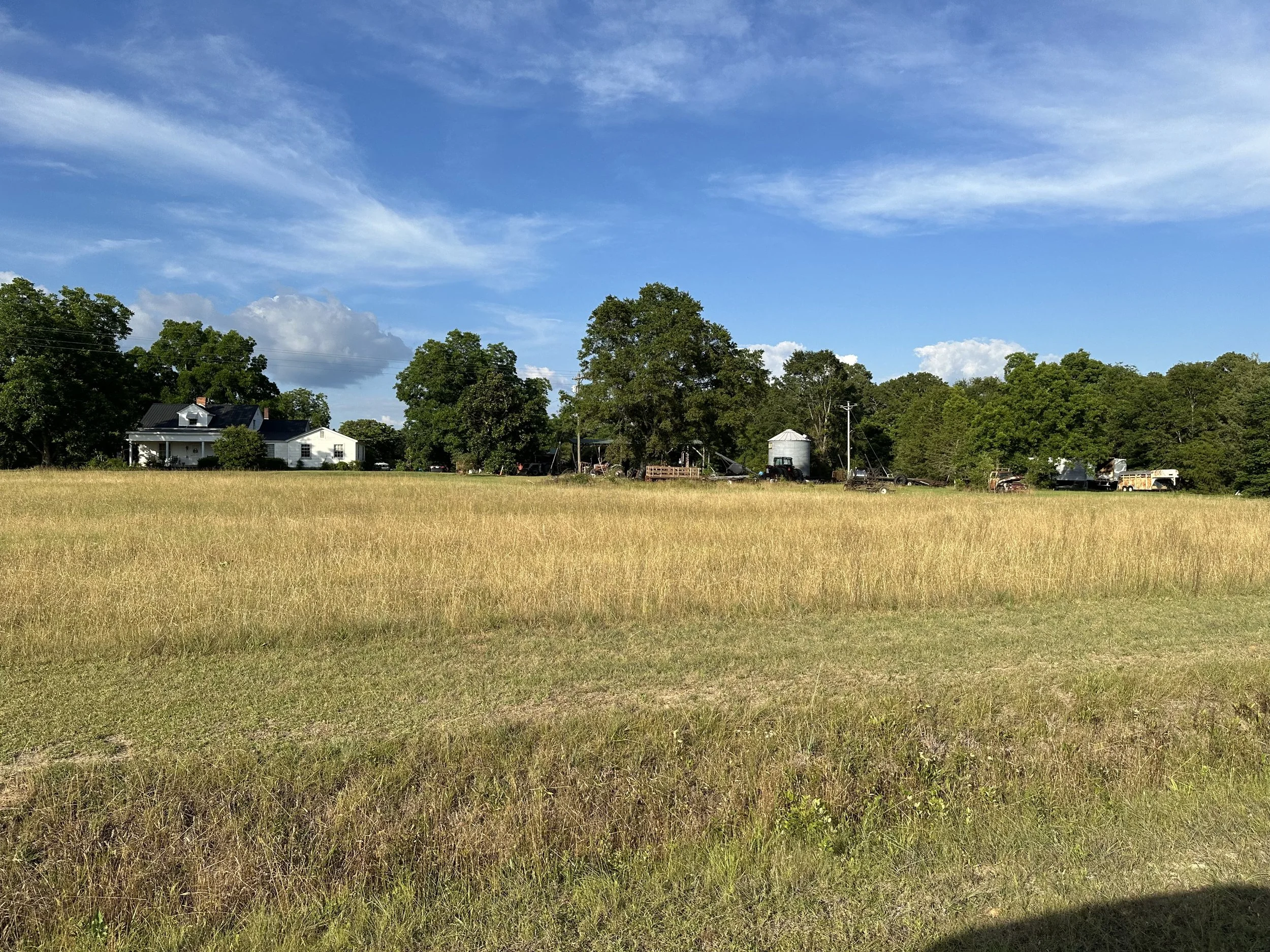 IMG_5326.jpeg
