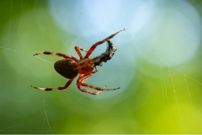 Screenshot 2025-11-20 at 9.59.59 AM.png