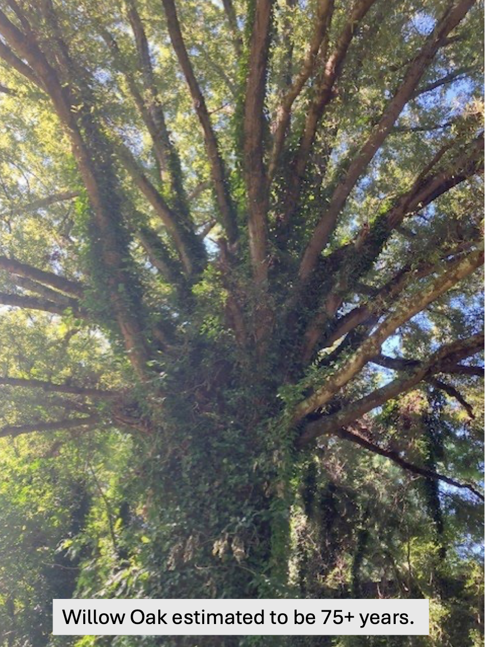 Screenshot 2025-11-25 at 9.58.28 AM.png