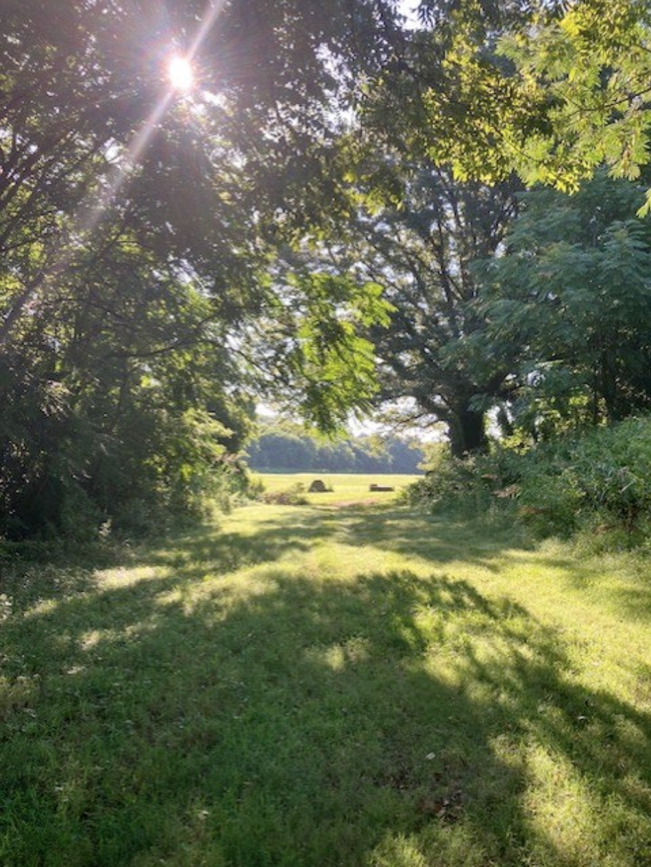 Screenshot 2025-11-25 at 9.58.55 AM.png