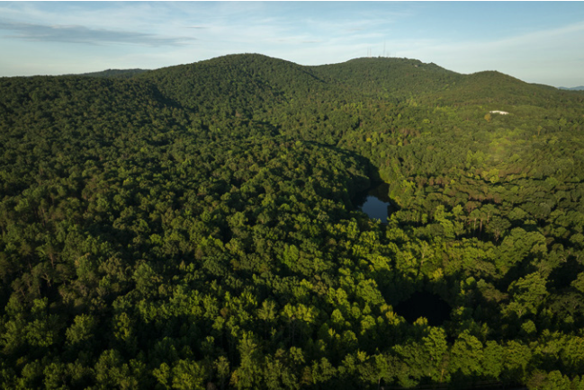 Screenshot 2025-11-20 at 9.54.16 AM.png