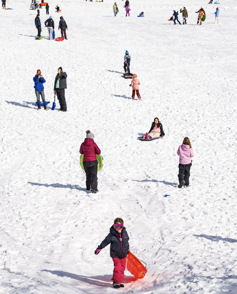 No Snow Day? In New York City Parks, It Felt Like One.