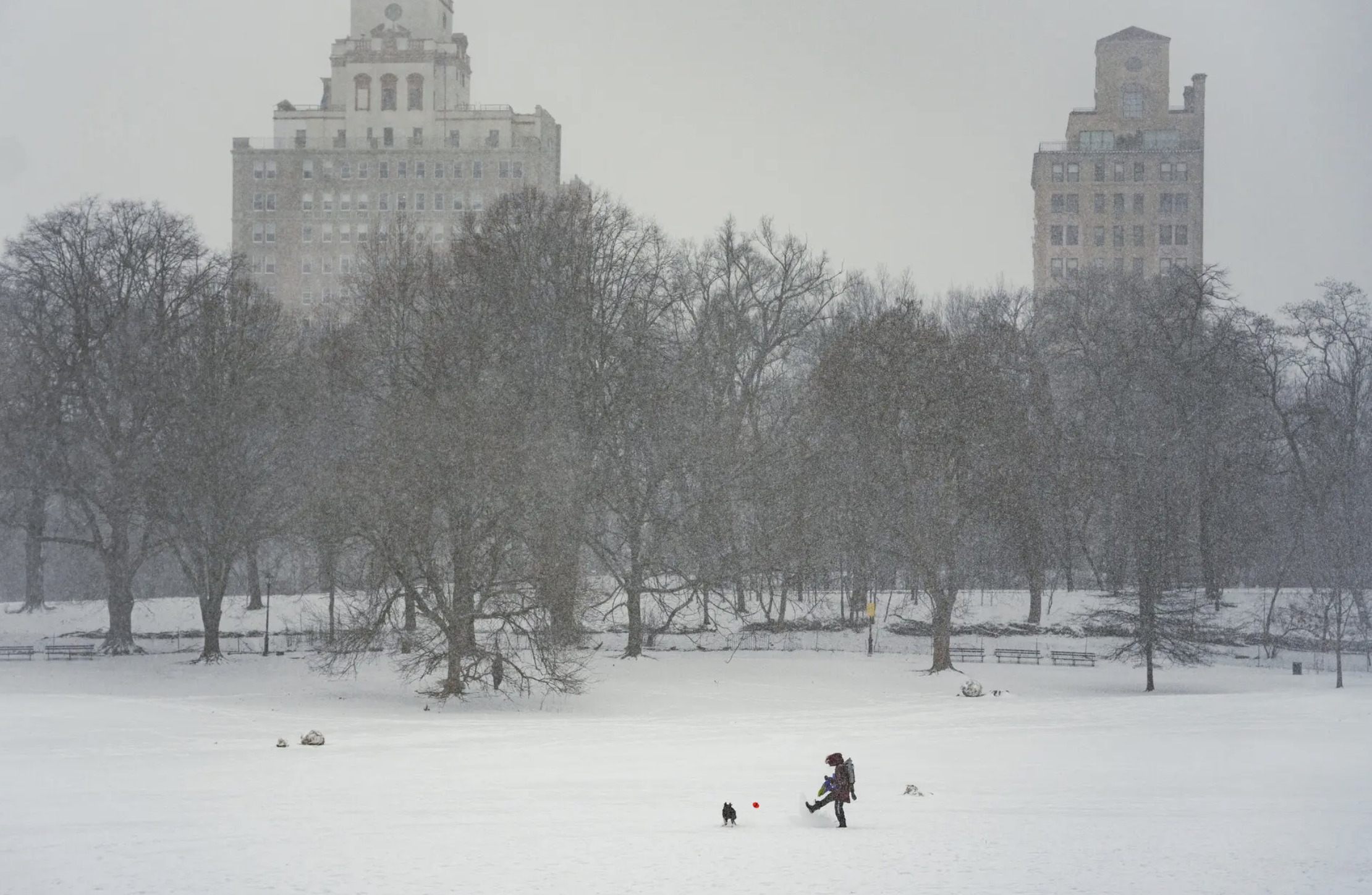 A Sunday Snowstorm Blankets New York