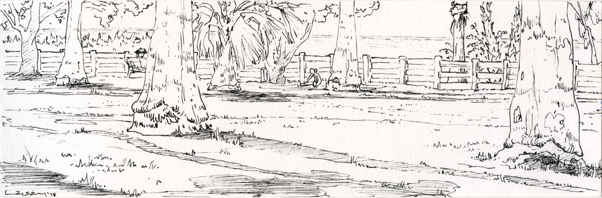Palisades-park_Sketch.jpg