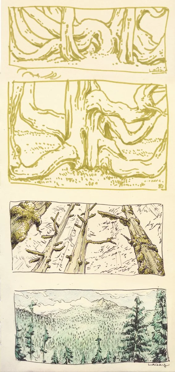 Tree-Sketches_10.14.14-copy_Laisay.jpg