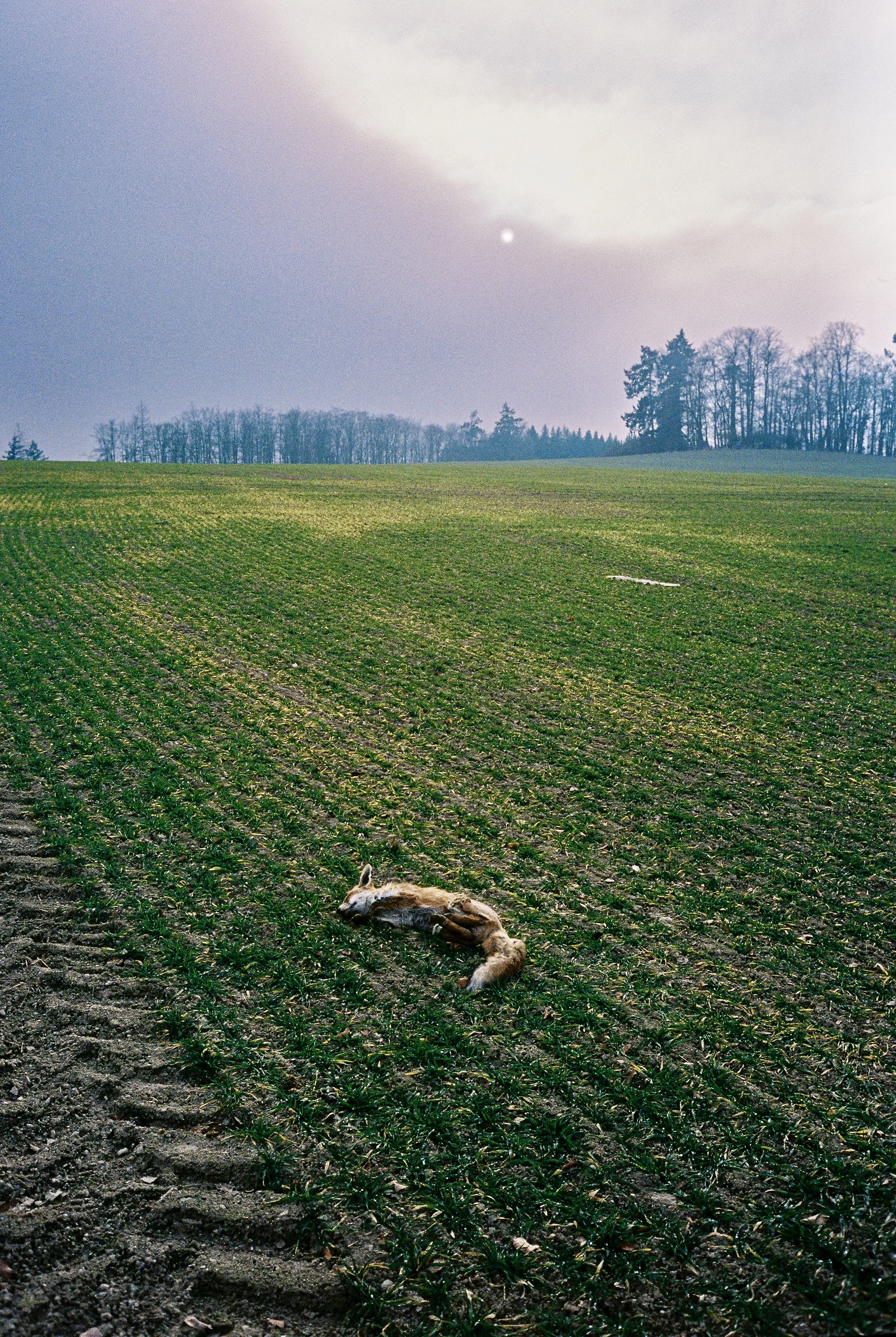 wohin_soll's_gehen© Janek Kindel_12.jpg