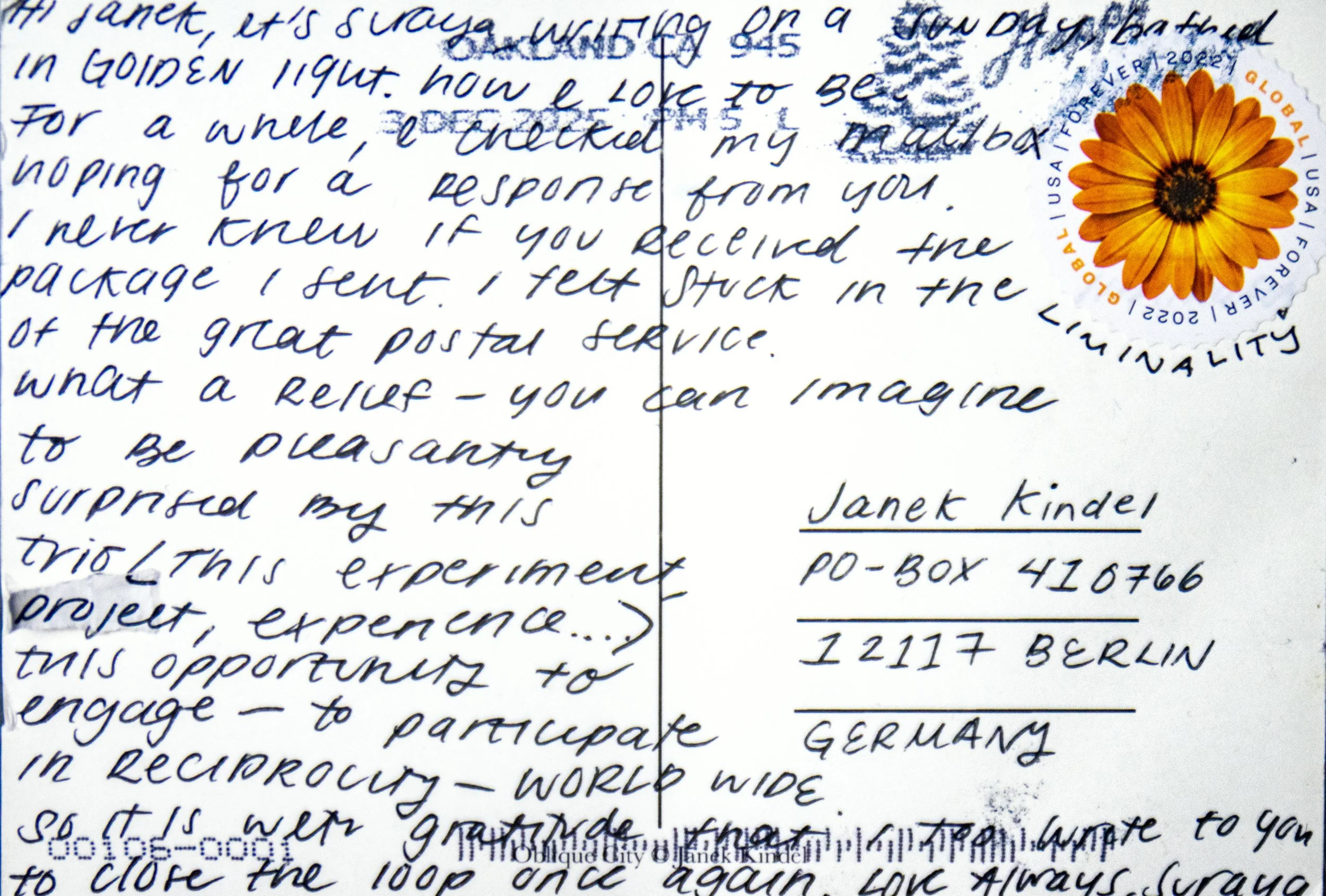 oblique_scans _02.jpg