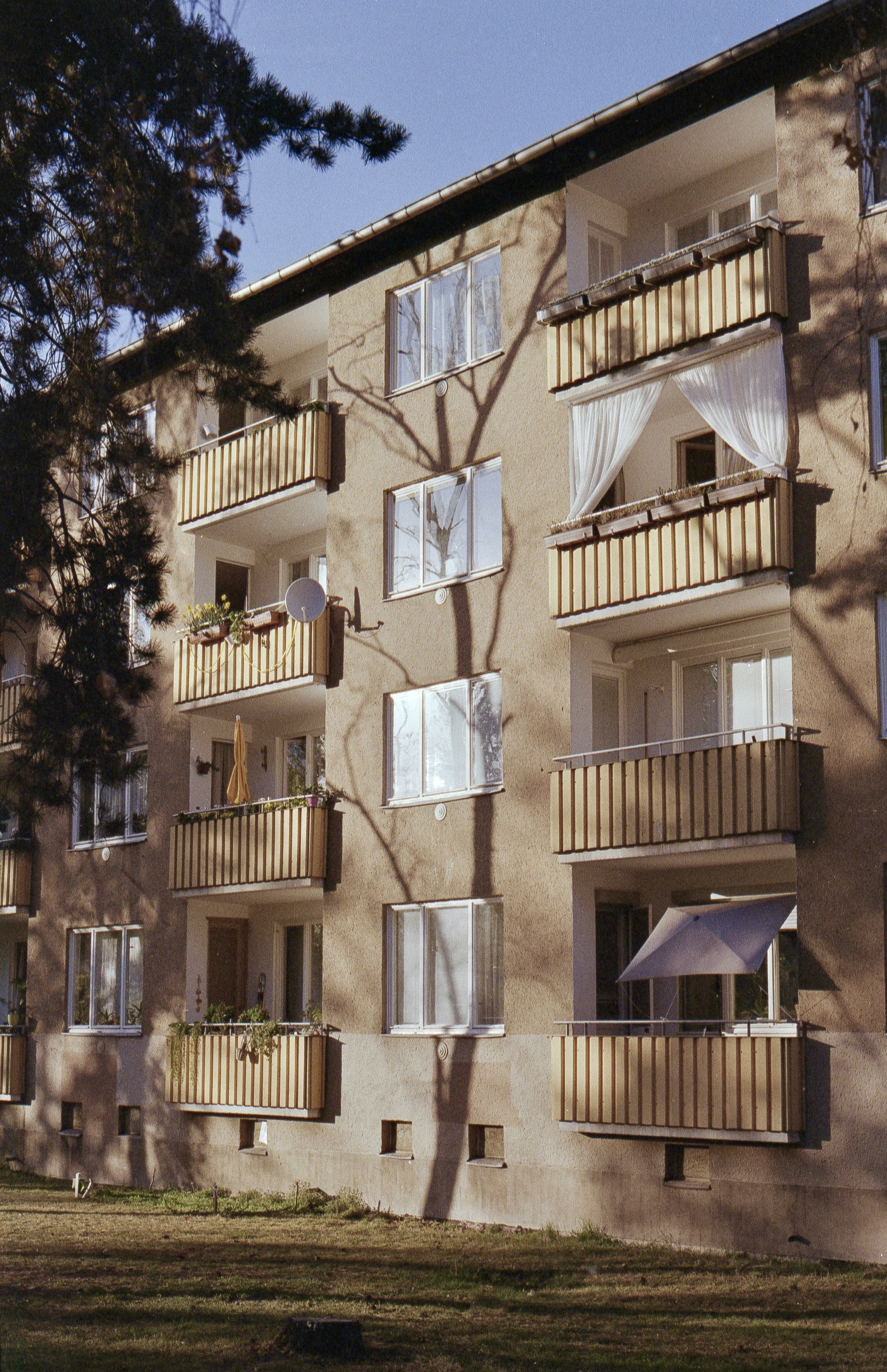 archi30.jpg